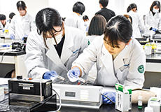 最新の設備で臨床検査実習の様子