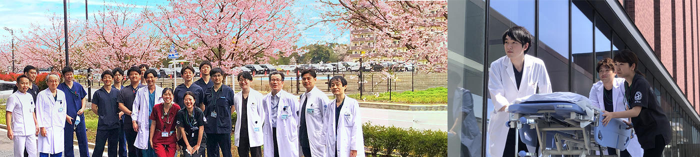 循環器内科学教室