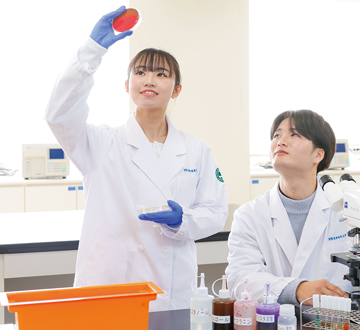 学部・学科 FACULTY