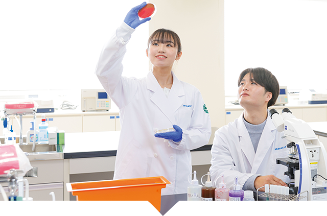 学部・学科 FACULTY