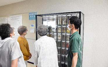 様々な漢方のサンプルを眺める参加者たちの様子